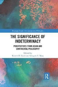 bokomslag The Significance of Indeterminacy