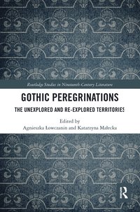 bokomslag Gothic Peregrinations