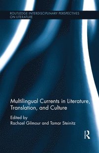 bokomslag Multilingual Currents in Literature, Translation and Culture