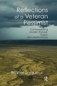 bokomslag Reflections of a Veteran Pessimist