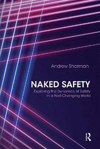 bokomslag Naked Safety