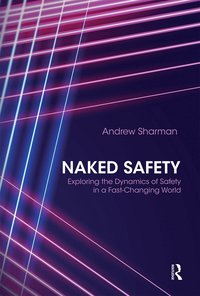 bokomslag Naked Safety