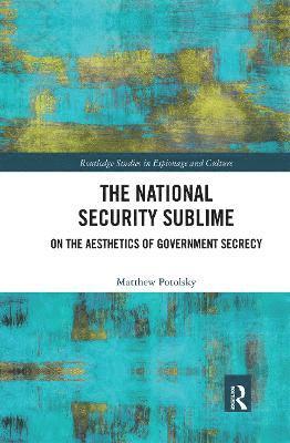 bokomslag The National Security Sublime