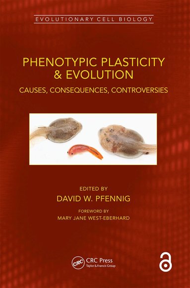 David W. Pfennig - Phenotypic Plasticity & Evolution, Häftad