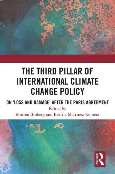 bokomslag Third Pillar of International Climate Change Policy