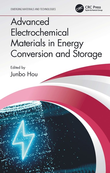 bokomslag Advanced Electrochemical Materials in Energy Conversion and Storage