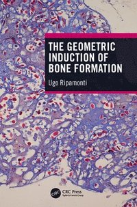 bokomslag The Geometric Induction of Bone Formation