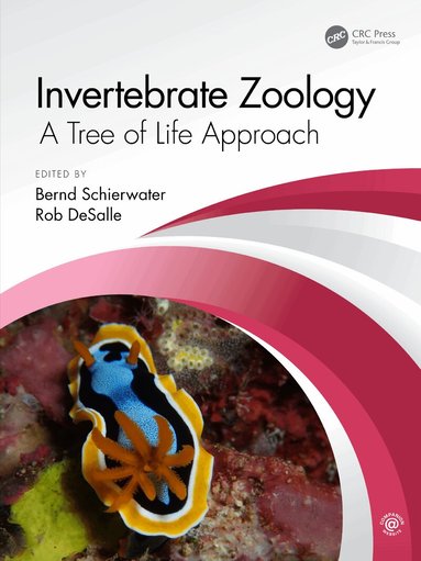Bernd Schierwater, Rob DeSalle - Invertebrate Zoology, Häftad