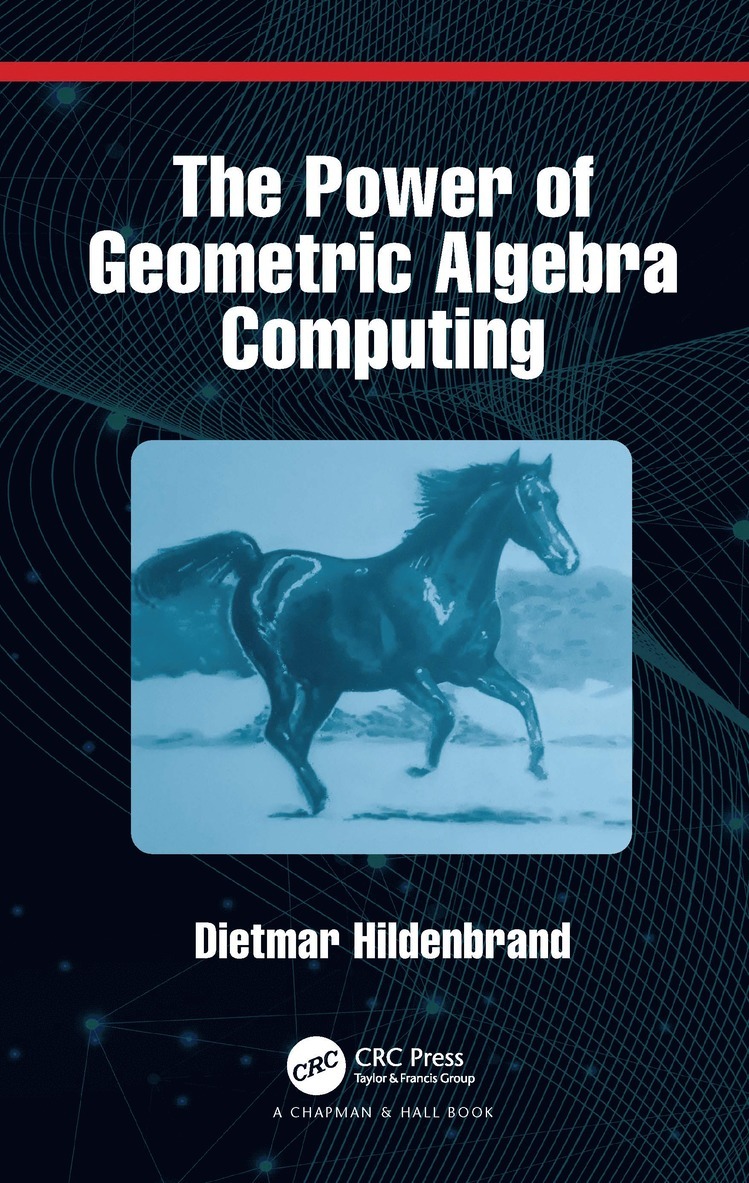 Dietmar Hildenbrand - Power of Geometric Algebra Computing, Häftad