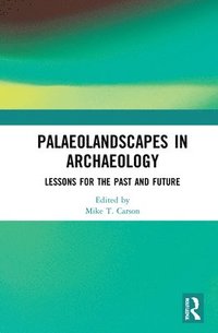 bokomslag Palaeolandscapes in Archaeology