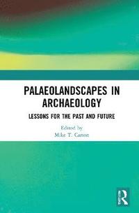 bokomslag Palaeolandscapes in Archaeology
