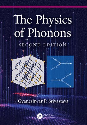 bokomslag The Physics of Phonons