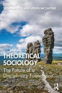 bokomslag Theoretical Sociology