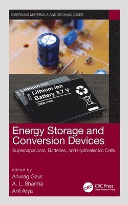 Anurag Gaur, A. L. Sharma, Anil Arya, India) Arya, Anil (NIT Kurukshetra - Energy Storage and Conversion Devices, Häftad