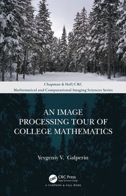Yevgeniy V. Galperin - Image Processing Tour of College Mathematics, Häftad