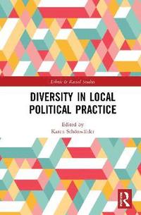 bokomslag Diversity in Local Political Practice