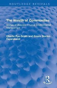 bokomslag The Wealth of Communities