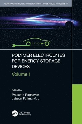 Polymer Electrolytes for Energy Storage Devices 1