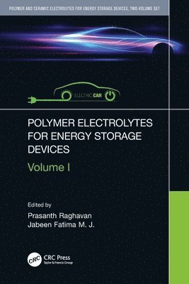 Polymer Electrolytes for Energy Storage Devices 1