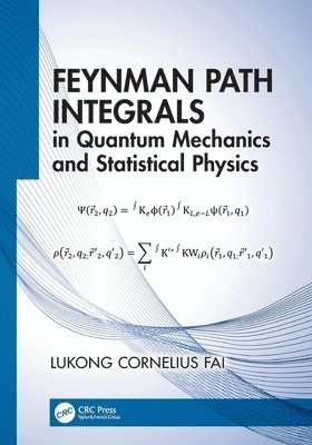 bokomslag Feynman Path Integrals in Quantum Mechanics and Statistical Physics