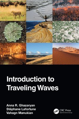 Anna R. Ghazaryan, Stéphane Lafortune, Vahagn Manukian, USA) Ghazaryan, Anna R. (Miami Univeristy, USA) Lafortune, Stephane (College of Charleston, USA) Manukian, Vahagn (Miami University - Introduction to Traveling Waves, Inbunden