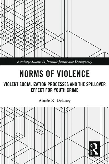 bokomslag Norms of Violence