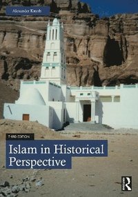 bokomslag Islam in Historical Perspective