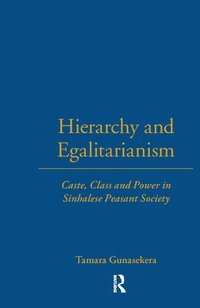 bokomslag Hierarchy and Egalitarianism