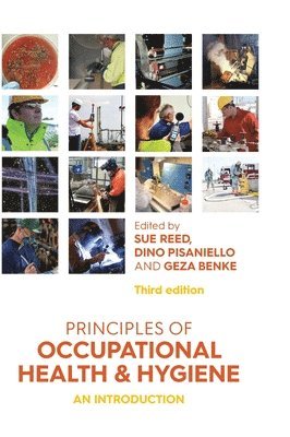 bokomslag Principles of Occupational Health and Hygiene