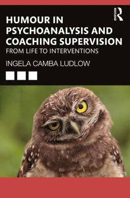 Humour in Psychoanalysis and Coaching Supervision 1