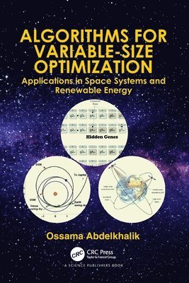 Algorithms for Variable-Size Optimization 1