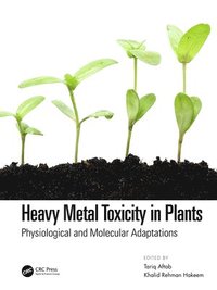 bokomslag Heavy Metal Toxicity in Plants