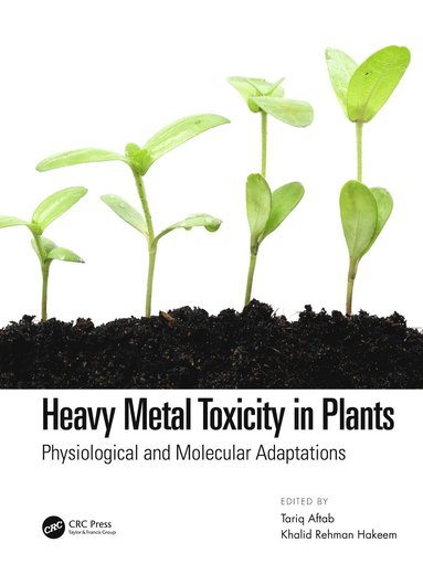 bokomslag Heavy Metal Toxicity in Plants