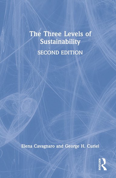 bokomslag Three Levels of Sustainability