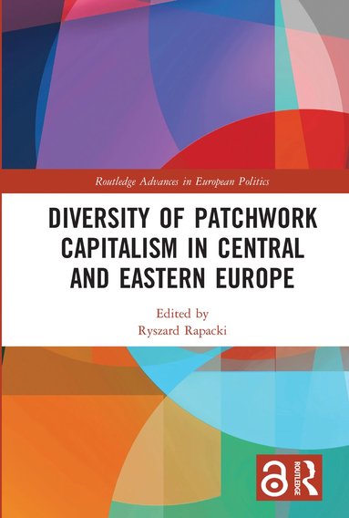 bokomslag Diversity of Patchwork Capitalism in Central and Eastern Europe