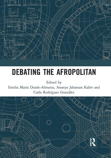 bokomslag Debating the Afropolitan