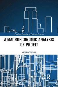 bokomslag A Macroeconomic Analysis of Profit