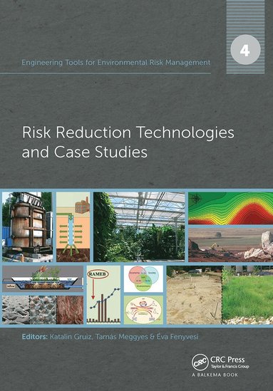 bokomslag Engineering Tools for Environmental Risk Management