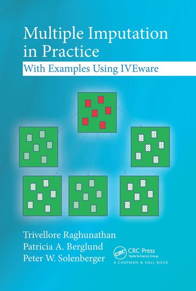 Trivellore Raghunathan, Patricia A. Berglund, Peter W. Solenberger - Multiple Imputation in Practice, Häftad