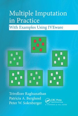 Trivellore Raghunathan, Patricia A. Berglund, Peter W. Solenberger - Multiple Imputation in Practice, Häftad