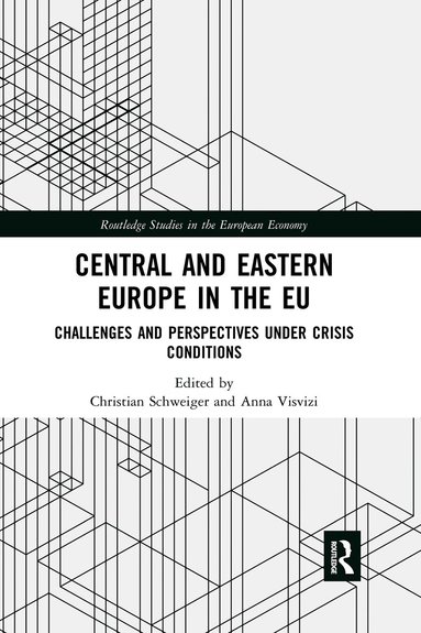 Christian Schweiger, Anna Visvizi - Central and Eastern Europe in the EU, Häftad