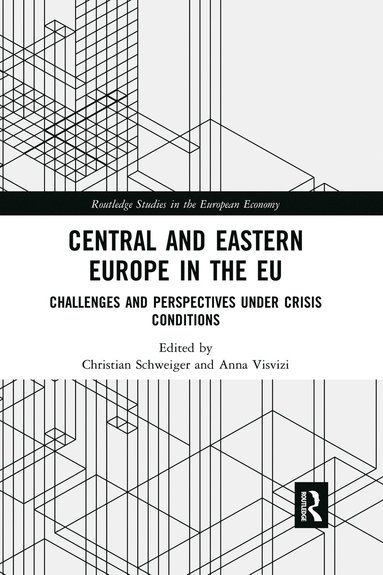 bokomslag Central and Eastern Europe in the EU