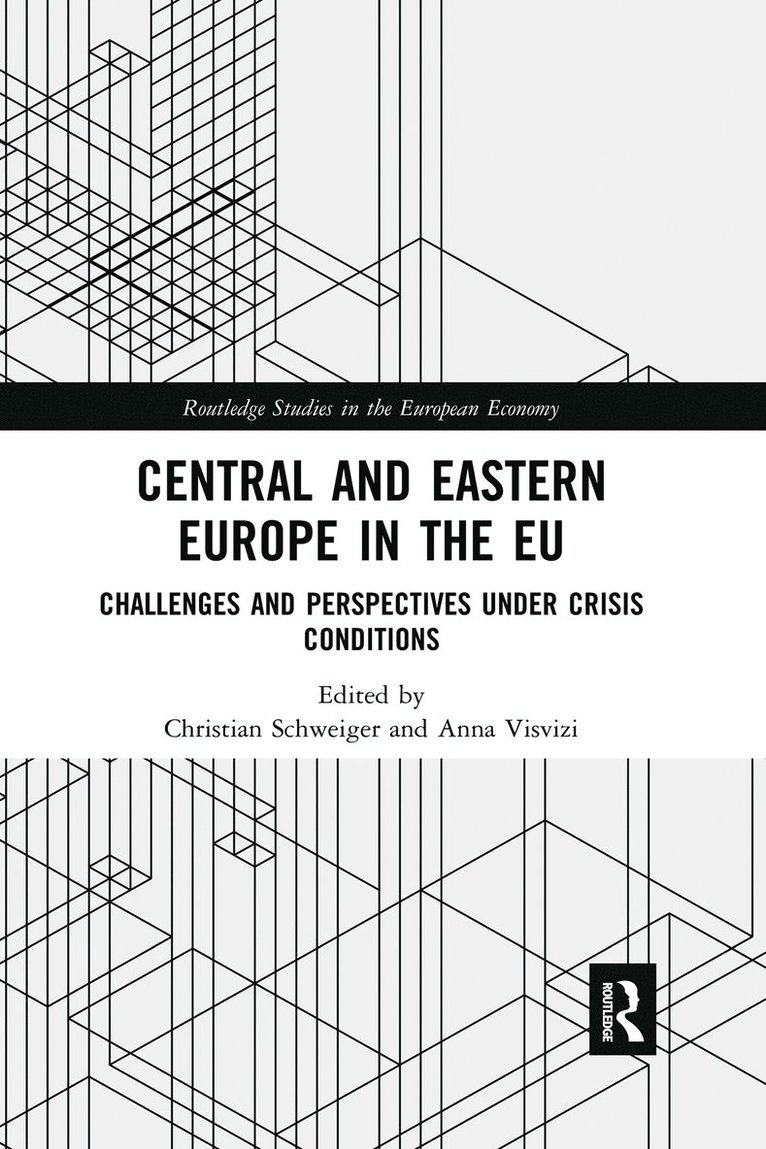 Christian Schweiger, Anna Visvizi - Central and Eastern Europe in the EU, Häftad