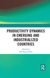 bokomslag Productivity Dynamics in Emerging and Industrialized Countries