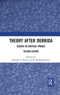 bokomslag Theory after Derrida