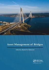 bokomslag Asset Management of Bridges