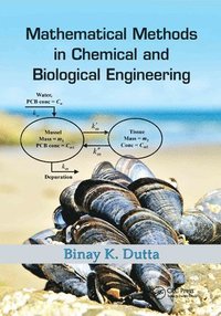 bokomslag Mathematical Methods in Chemical and Biological Engineering