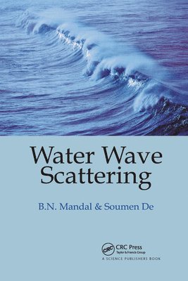 Water Wave Scattering 1