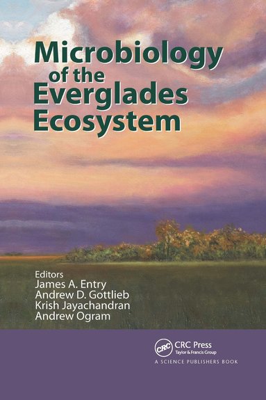 bokomslag Microbiology of the Everglades Ecosystem