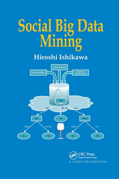 Hiroshi Ishikawa - Social Big Data Mining, Häftad